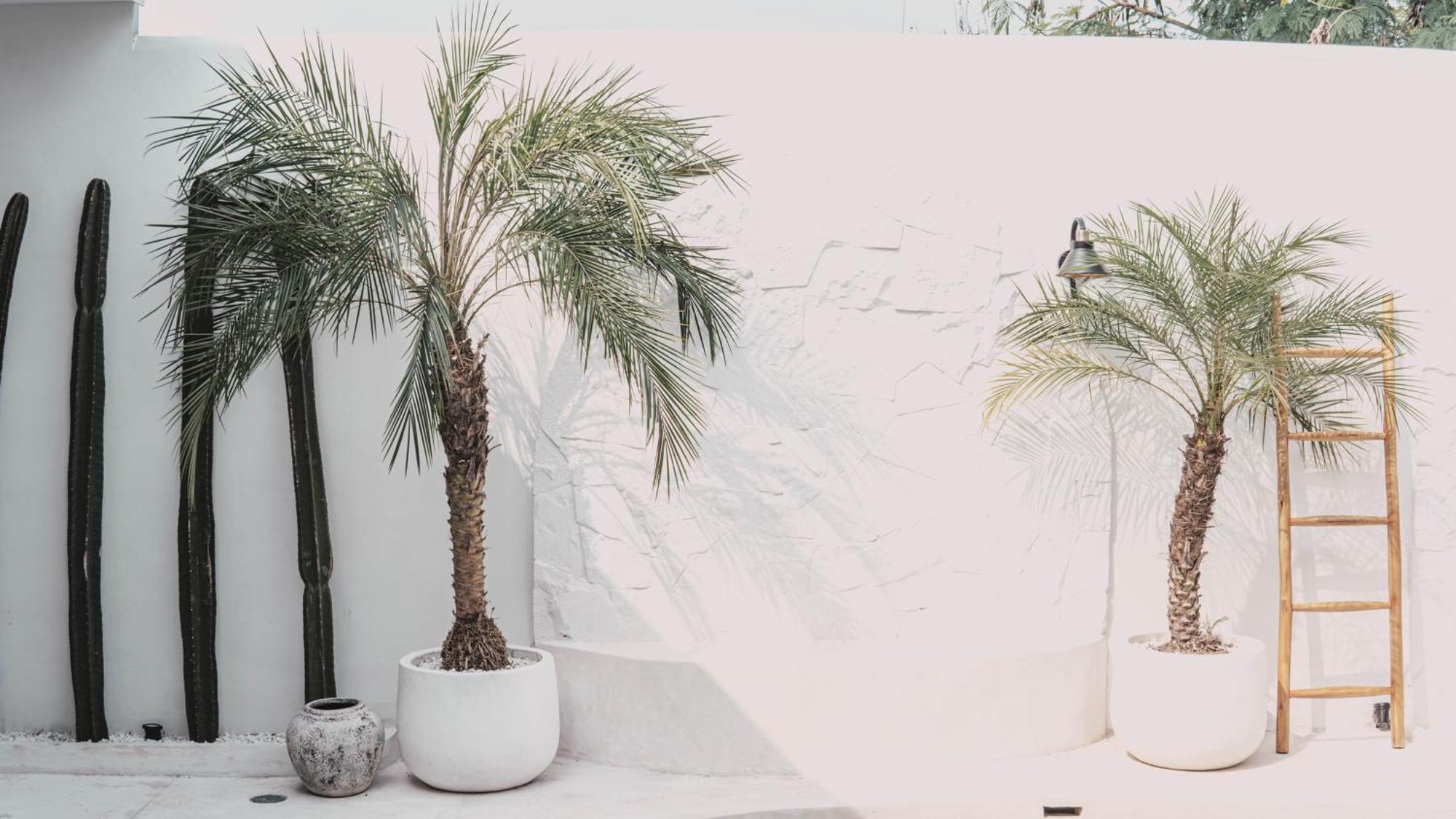 Bohemian Jogja Villas With Private Pool Kejayan Exterior photo